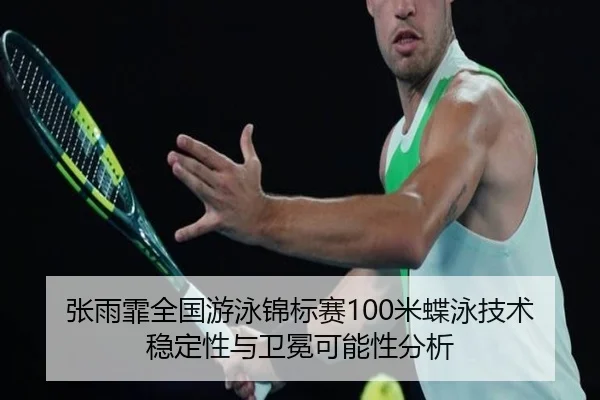 zhang-yu-fei-quan-guo-you-yong-jin-biao-sai-mi-die-yong-ji-shu-wen-ding-xing-yu-wei-mian-ke-neng-xing-fen-xi-2-646.jpg
