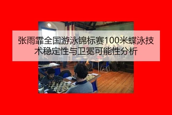 zhang-yu-fei-quan-guo-you-yong-jin-biao-sai-mi-die-yong-ji-shu-wen-ding-xing-yu-wei-mian-ke-neng-xing-fen-xi-3-269.jpg