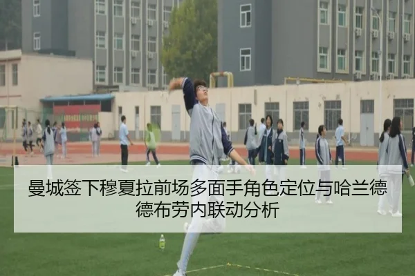 man-cheng-qian-xia-mu-xia-la-qian-chang-duo-mian-shou-jue-se-ding-wei-yu-ha-lan-de-de-bu-lao-nei-lian-dong-fen-xi-3-232.jpg